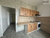 Pronájem bytu 2+1, Most, Hutnická, 55 m2