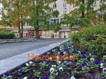 Pronájem kanceláře, Havířov - Město, nám. Republiky, 72 m2