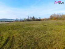 Prodej komerčního pozemku, Gruna, 8784 m2