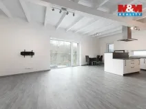 Pronájem bytu 3+kk, Ludgeřovice, Finské domky, 90 m2