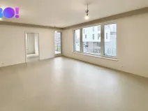 Pronájem bytu 2+kk, Ostrava, F. X. Riepla, 59 m2