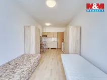 Pronájem bytu 1+kk, Plzeň, Nepomucká, 28 m2
