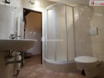 Pronájem bytu 1+1, Poděbrady, Dr. Horákové, 45 m2