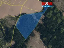 Prodej lesa, Bohdalov, 34642 m2