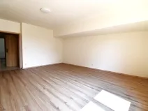 Pronájem bytu 2+1, Plzeň - Východní Předměstí, Krejčíkova, 62 m2