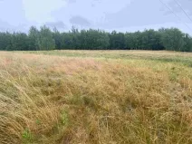 Dražba louky, Nové Sedlo, 49321 m2