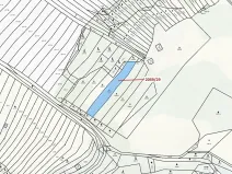 Dražba lesa, Ivančice, 1130 m2