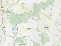 Dražba lesa, Žirovnice, 2931 m2