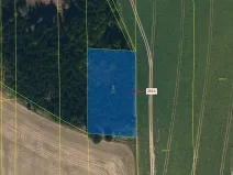 Dražba lesa, Žirovnice, 2931 m2