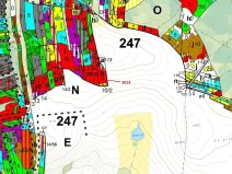 Dražba lesa, Žirovnice, 2931 m2