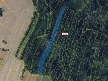 Dražba lesa, Žďárec, 5465 m2