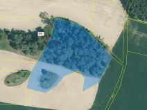 Dražba lesa, Manětín, 4801 m2