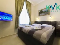 Prodej apartmánu, Karlovy Vary, K. Čapka, 593 m2