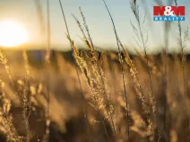 Prodej pozemku pro bydlení, Nová Ves, 758 m2