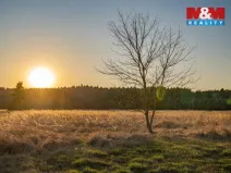 Prodej pozemku pro bydlení, Nová Ves, 758 m2