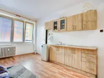 Prodej bytu 1+kk, Most, Františka Halase, 21 m2