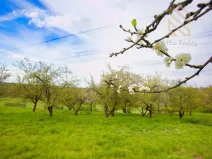 Prodej zahrady, Smolnice, 2370 m2