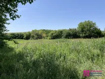 Prodej pozemku pro bydlení, Diváky, 7284 m2