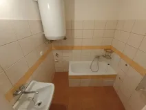 Pronájem vícegeneračního domu, Nepomuk, 280 m2