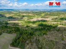 Prodej lesa, Horní Heřmanice, 31116 m2