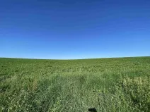 Prodej pole, Křešín, 6536 m2