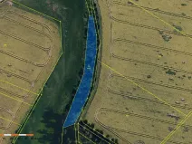 Prodej lesa, Dolní Vilémovice, 1995 m2