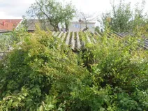 Dražba zahrady, Dobruška, 294 m2