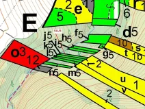 Dražba lesa, Havlíčkův Brod, 212 m2