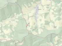 Dražba lesa, Zděchov, 273 m2