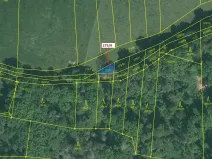 Dražba pole, Milavče, 72 m2