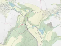 Dražba lesa, Havlíčkův Brod, 870 m2