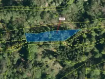 Dražba lesa, Zděchov, 867 m2