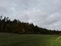 Prodej lesa, Nezdice, 4671 m2