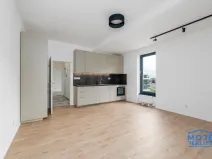 Pronájem bytu 3+kk, Plzeň - Jižní Předměstí, Železná, 59 m2