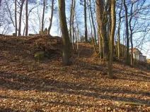 Prodej lesa, Čerčany, 394 m2