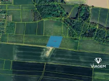 Prodej pole, Závišice, 5274 m2