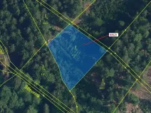 Dražba lesa, Jílové u Držkova, 1684 m2