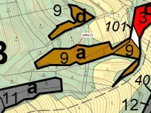 Dražba lesa, Hovězí, 2438 m2