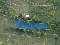 Dražba lesa, Psárov, 3464 m2