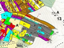 Dražba lesa, Přemyslovice, 7901 m2