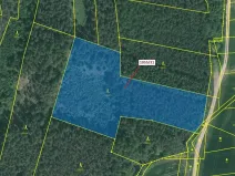 Dražba lesa, Milavče, 9168 m2