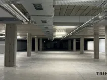 Prodej bytu 1+kk, Opava - Předměstí, Císařského pluku, 34 m2