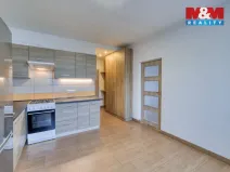 Pronájem bytu 1+1, Plzeň - Doudlevce, Skupova, 39 m2