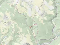 Dražba lesa, Jílové u Držkova, 88 m2