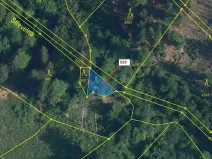 Dražba lesa, Jílové u Držkova, 151 m2