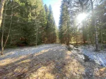 Dražba pozemku, Čachrov, 10377 m2