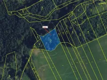 Dražba lesa, Spešov, 1590 m2