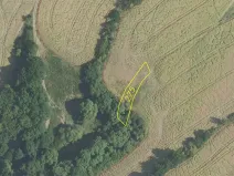 Dražba pole, Bojanovice, 22823 m2