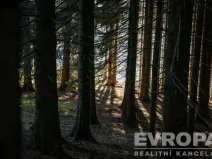 Prodej chalupy, Harrachov - Ryžoviště, 279 m2