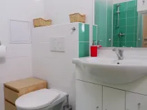 Pronájem bytu 1+1, Ostrava, Hrušovská, 48 m2